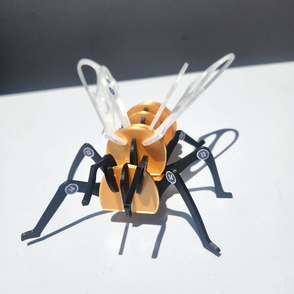 Bee Model Honeybee 3D Puzzle Honey Bees Classroom Science STEM Craft Insect Bugs